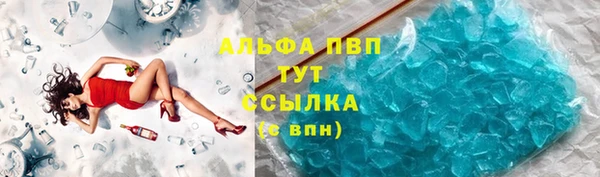 винт Богданович