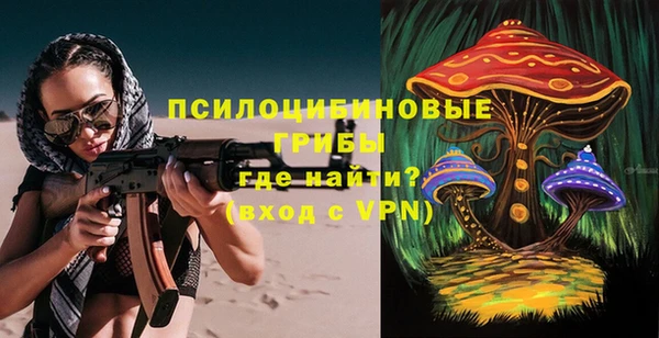 экстази Богородск