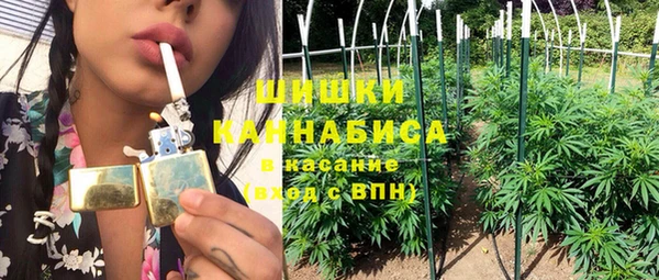 винт Богданович