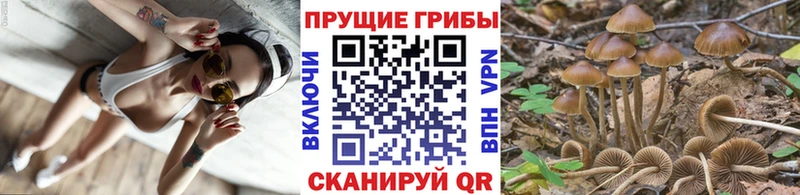 Галлюциногенные грибы MAGIC MUSHROOMS Наро-Фоминск